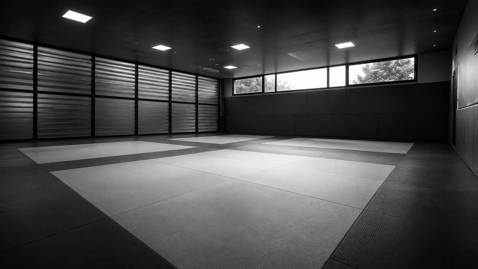 Jiu-Jitsu KODA